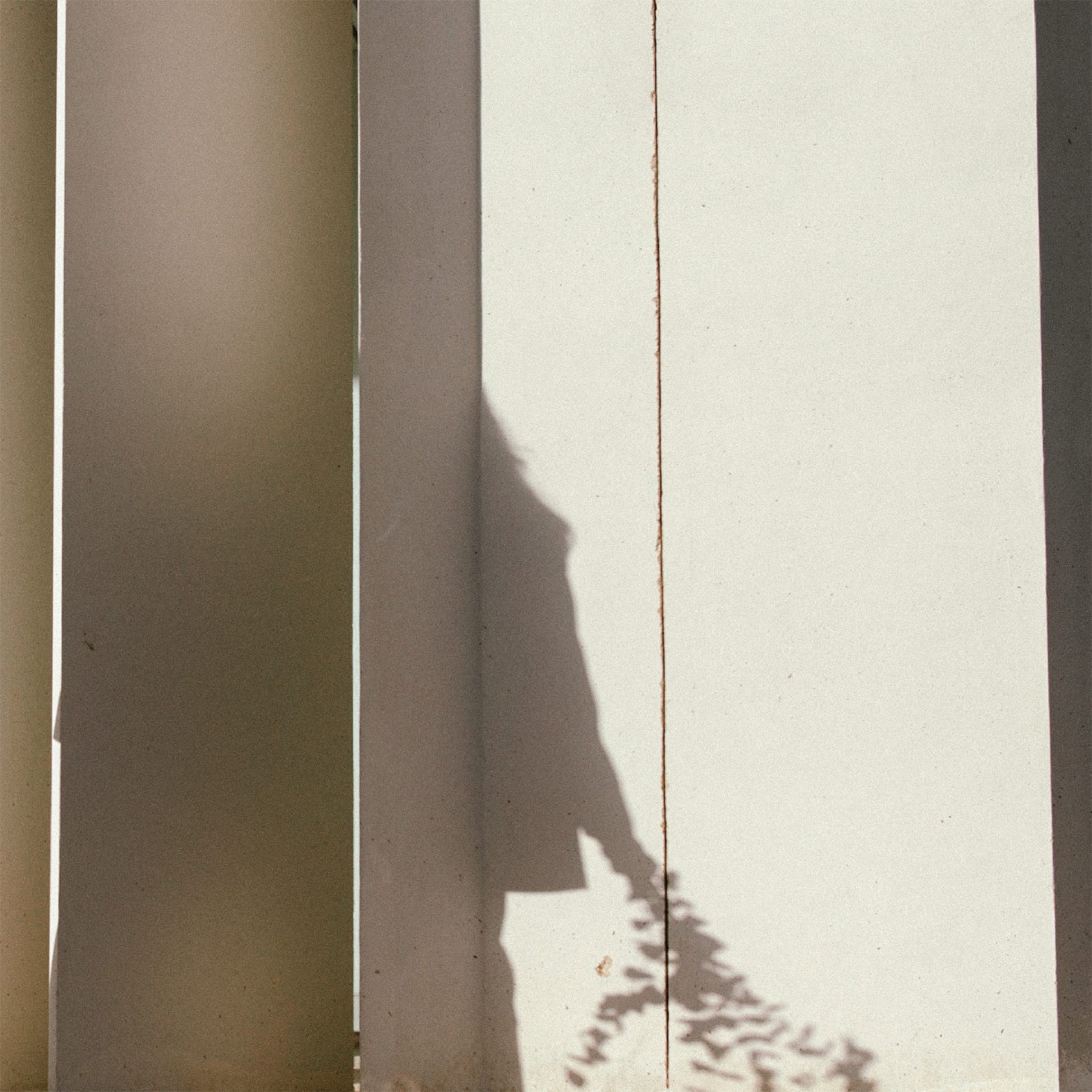 banner Isabel Halo diseñadora grafica creativa en Jerez